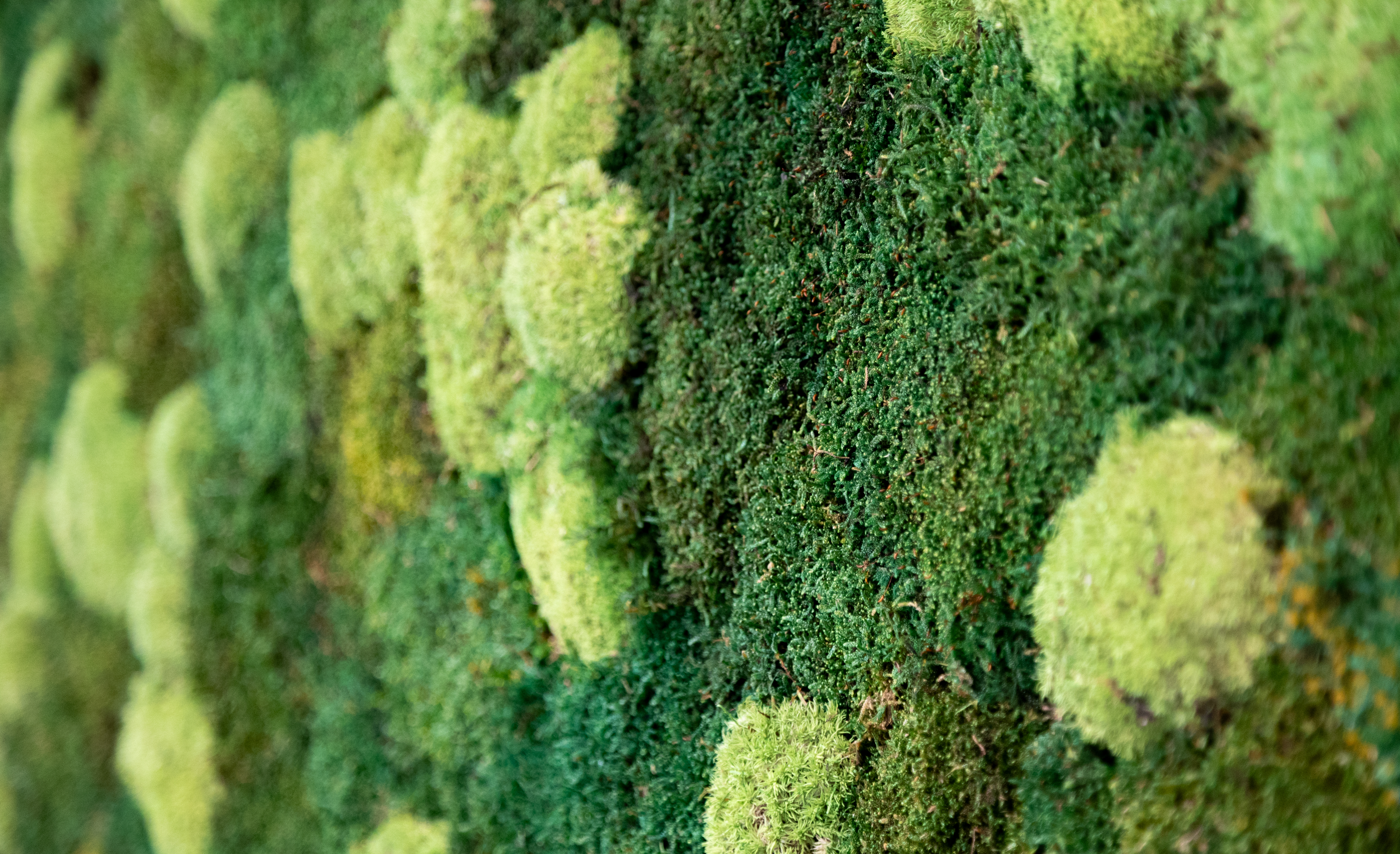 Verbundkonzept Verbundkonzept